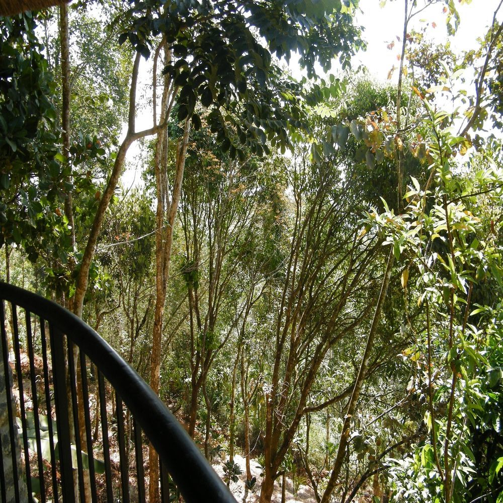 Poetree Thekkady Hotel Ngoại thất bức ảnh